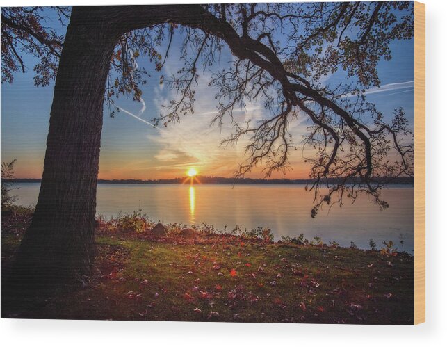 Oak Lake Lake Waubesa Wi Wisconsin Fishing Sunrise Fall Wood Print featuring the photograph Reaching Out - oak tree reaching over Lake Waubesa in autumn sunset by Peter Herman