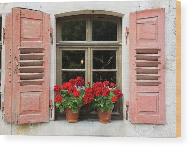 Window Wood Print featuring the photograph Red flowers and red shutters by Karen Kaspar