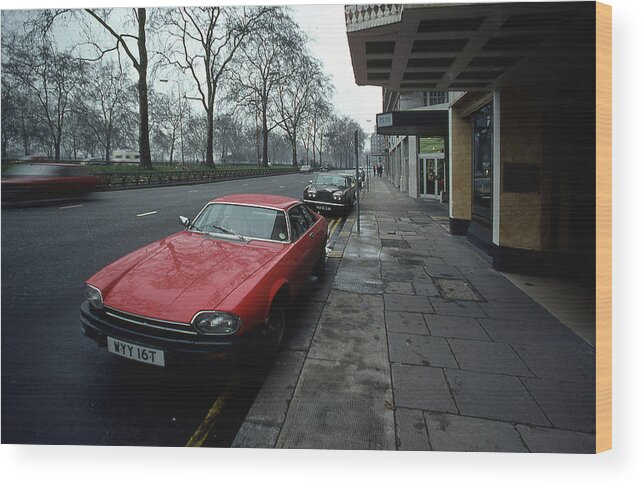 Jaguar Wood Print featuring the photograph Red Jaguar by Jim Mathis