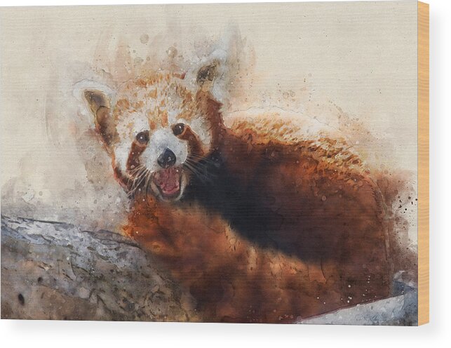 Red Panda Wood Print featuring the digital art Red Panda by Geir Rosset
