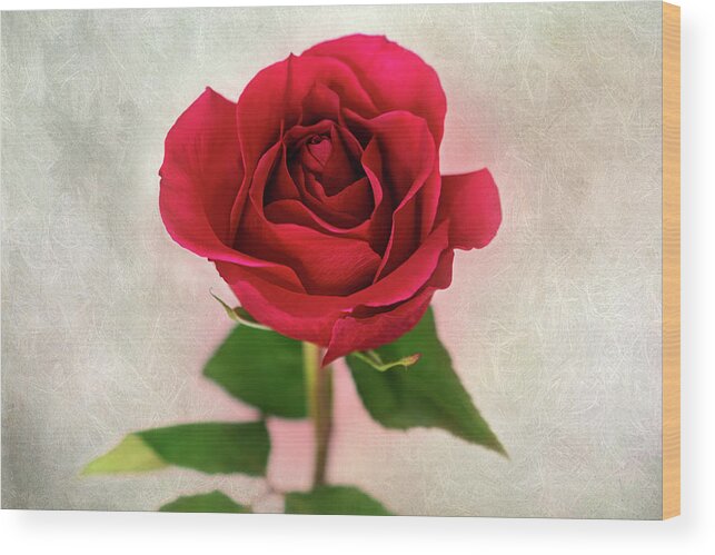 Red Rose Wood Print featuring the photograph Red Rose Single Stem Print by Gwen Gibson