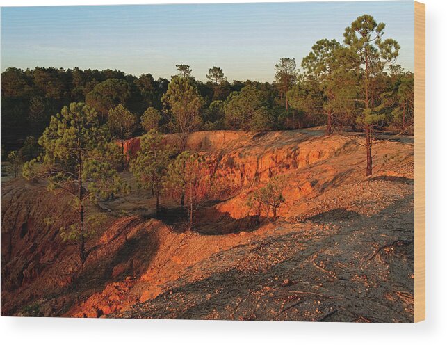 Forest Wood Print featuring the photograph Red Sunset Cliffs by Angelo DeVal