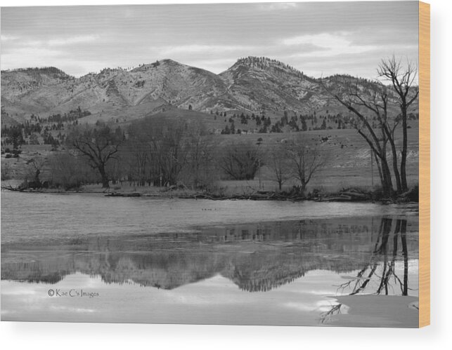 Black And White Wood Print featuring the photograph Reflections in Icy Waters BW by Kae Cheatham