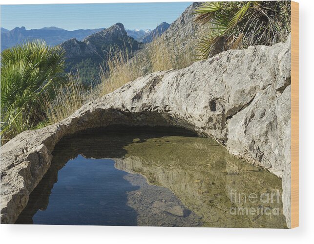 Water Wood Print featuring the photograph Water hole in the mountains by Adriana Mueller