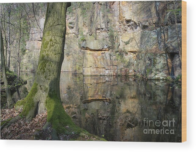 Water Wood Print featuring the photograph Reflection in the quarry 4 by Adriana Mueller