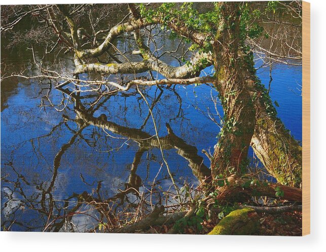 Reflections Wood Print featuring the photograph Reflections by Christopher Rowlands