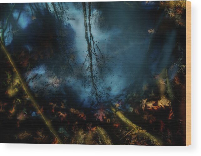 Abstract Wood Print featuring the photograph Reflections from a puddle by Jim Signorelli