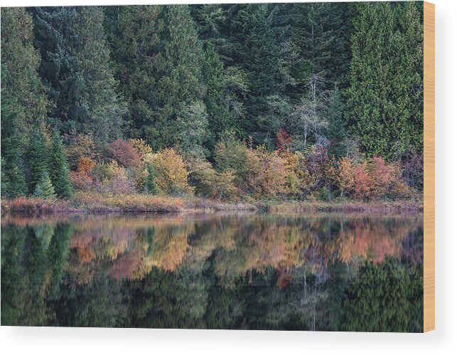 Autumn Wood Print featuring the photograph Reflections in Rolley Lake Provincial Park by Michael Russell