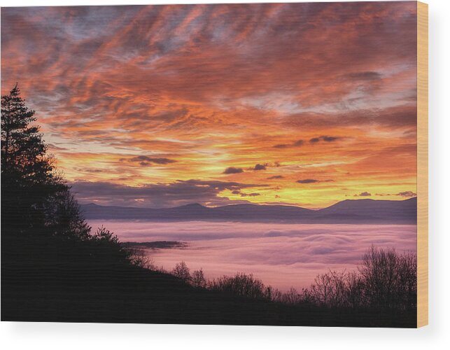 Sunrise Wood Print featuring the photograph Refuge by Lara Ellis