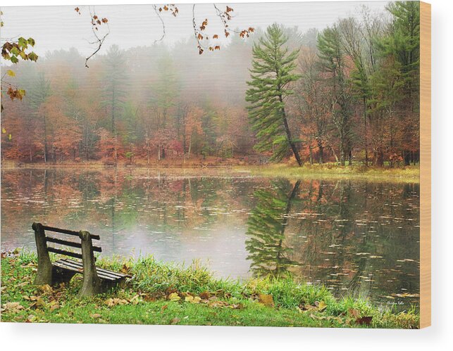 Sunrise Wood Print featuring the photograph Relaxing Autumn Beauty Landscape by Christina Rollo