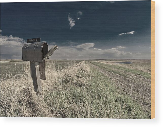 Abandoned Wood Print featuring the photograph Return to Sender - a mailbox at an abandoned rural farm homestead by Peter Herman