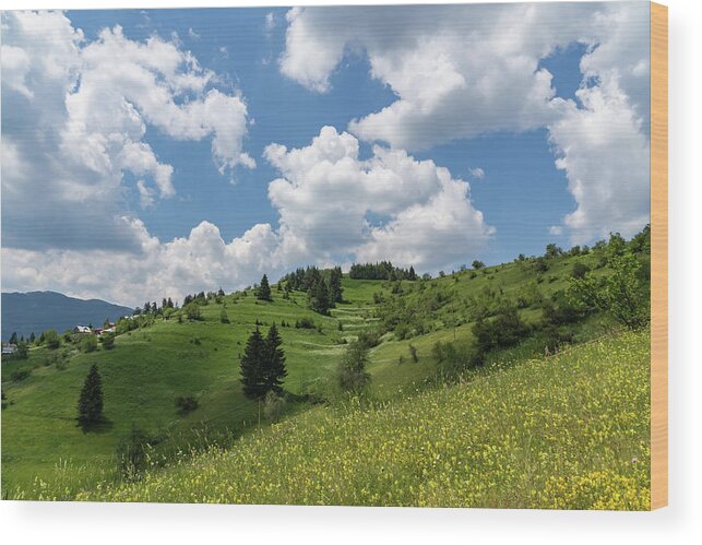 Big Sky Wood Print featuring the photograph Rhodope Mountain Village Layers - Wildflower Meadows Green Hillsides and Fab Clouds by Georgia Mizuleva
