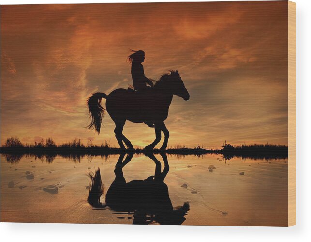 Horseback Riding Wood Print featuring the photograph Ride the Open Country by Andrea Kollo