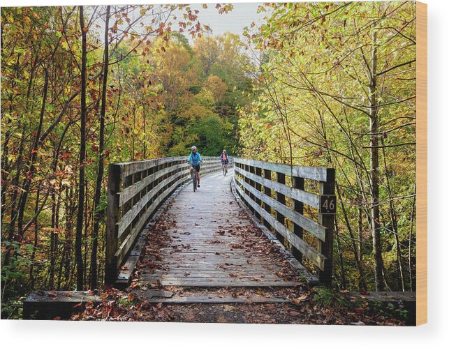 Fall Wood Print featuring the photograph Riding the Creeper Trail in Autumn Damascus Virginia by Debra and Dave Vanderlaan