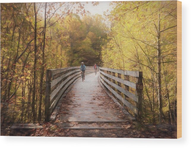 Fall Wood Print featuring the photograph Riding the Creeper Trail in Autumn Damascus Virginia Painting by Debra and Dave Vanderlaan