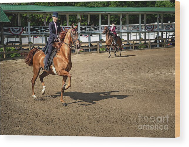 American Wood Print featuring the photograph Riding The Practice Ring by Amy Dundon