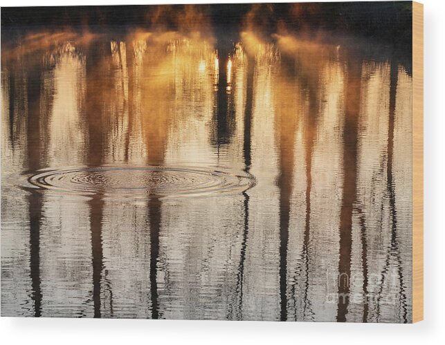 Water Wood Print featuring the photograph Ripples Rays of Light and Reflections by Tim Gainey