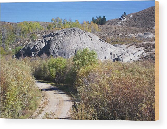 Road Wood Print featuring the photograph Road Through Granite Country by Jerry Griffin