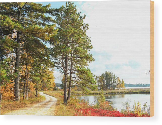 Seney National Wildlife Refuge Wood Print featuring the photograph Road Through the Wildlife Refuge by Robert Carter