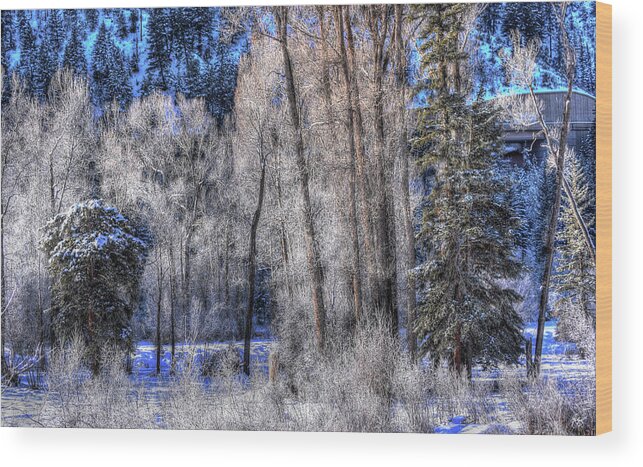 Mist Wood Print featuring the photograph Roaring Forks Frost by Wayne King