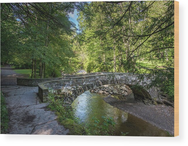 Robert H. Treman State Park Wood Print featuring the photograph Robert H. Treman State Park 4 by Dimitry Papkov