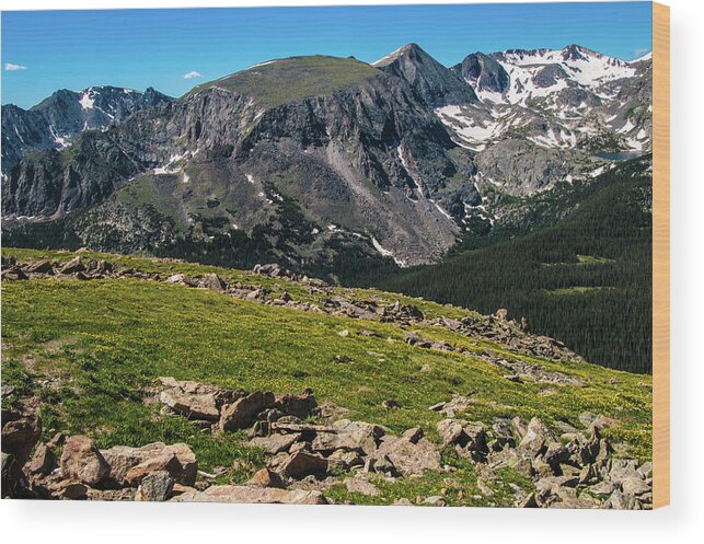 Alpine Wood Print featuring the photograph Rock Cut Overlook 2 from Trail Ridge Road, Rocky Mountain National Park, Colorado by Tom Potter