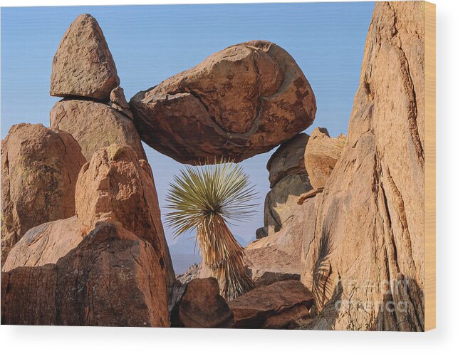 Grapevine Hills Trail Wood Print featuring the photograph Rock Frame by Bob Phillips