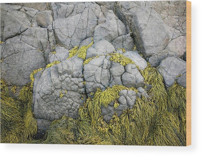 Rocks Wood Print featuring the photograph Rocks 3 by Alan Norsworthy