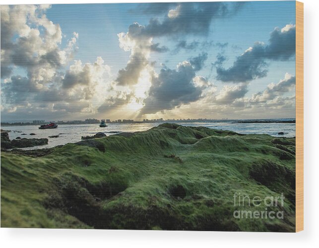 Piñones Wood Print featuring the photograph Rocks Covered in Moss at Sunset, Pinones, Puerto Rico by Beachtown Views