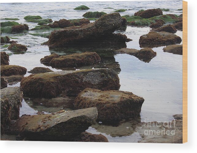 Rocks Wood Print featuring the photograph Rocks Reflecting in Water by Katherine Erickson