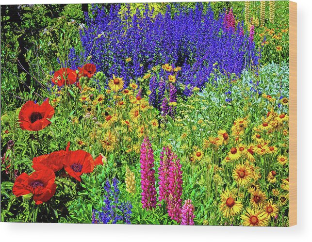 Crested Butte Wood Print featuring the photograph Rocky Mountain Garden by Lynn Bauer
