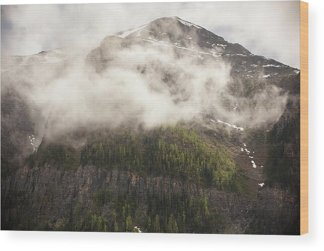 Mist Wood Print featuring the photograph Rocky Mountain Mist by Carolyn Ann Ryan