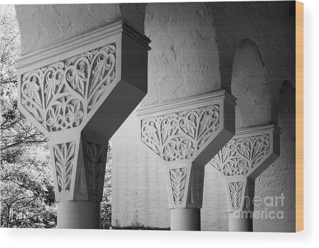 Rollins College Wood Print featuring the photograph Rollins College Arcade Detail by University Icons