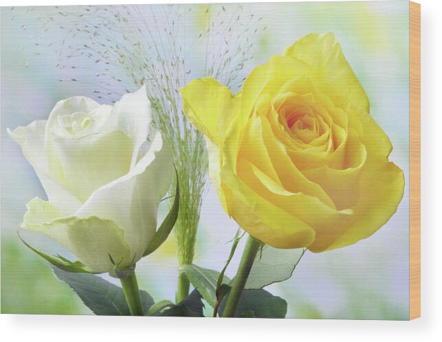 Roses Wood Print featuring the photograph Roses and China Grass by Terence Davis