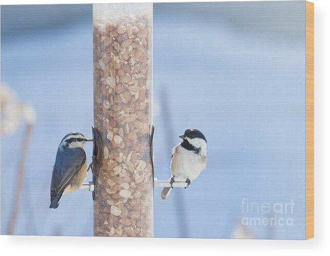 Birds Wood Print featuring the photograph Rosie and DeeDee by Jan Day