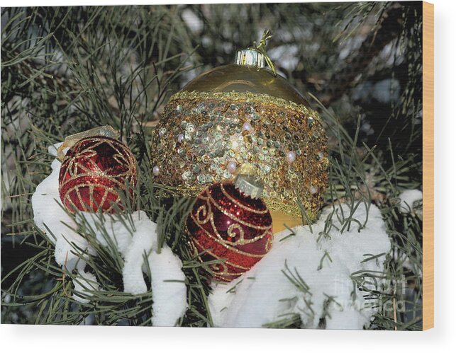 Fextive Wood Print featuring the photograph Round Holiday Ornaments Outdoors by Kae Cheatham