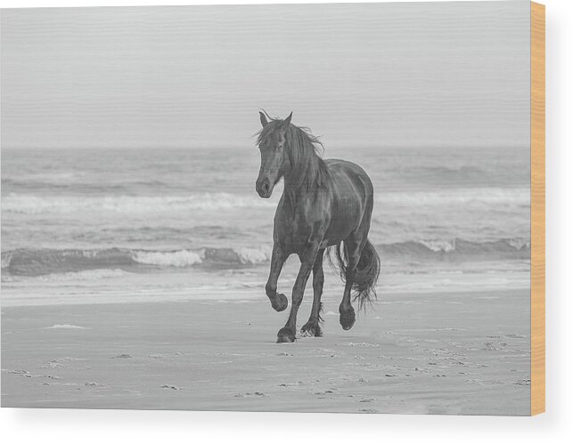 Equine Wood Print featuring the photograph Horse Running on the Beach Photograph by JBK Photo Art