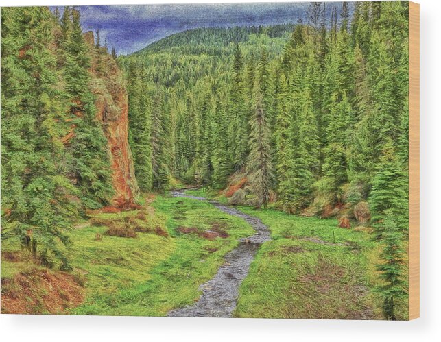 Nature Wood Print featuring the photograph Runoff Through the Rocks-Digital Art by Steve Templeton