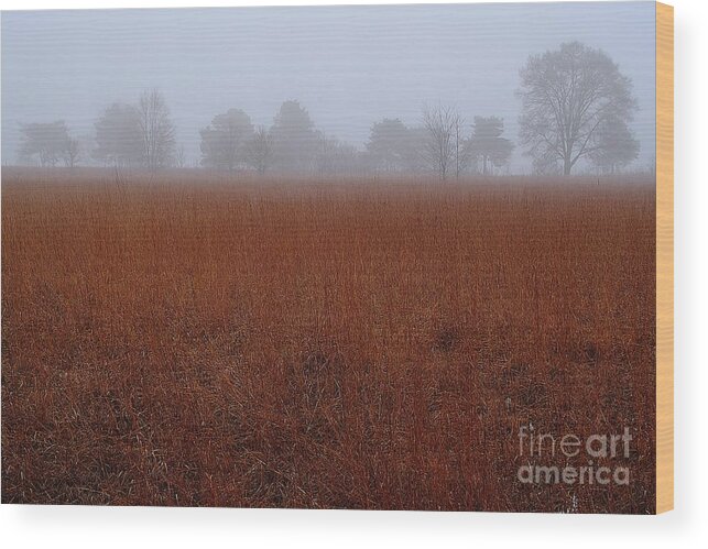 Field Wood Print featuring the photograph Rural Field and Trees by Randy Pollard