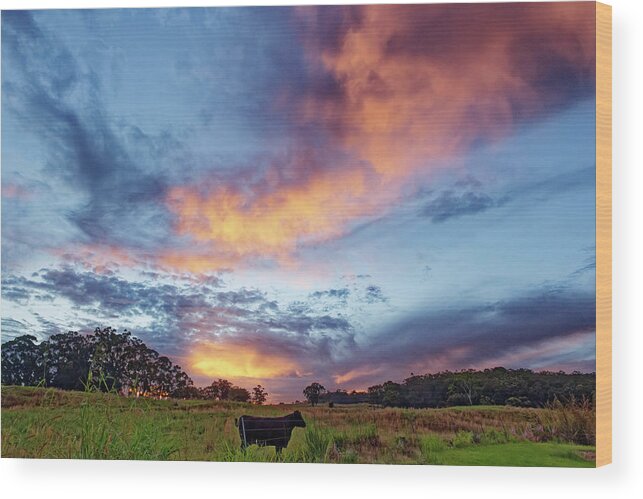 Rural Sunset. Beautiful Hawaii Wood Print featuring the photograph Rural Hawaiian Sunset by Heidi Fickinger