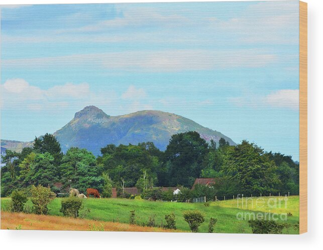 Edinburgh Wood Print featuring the photograph Rural Landscape - Edinburgh by Yvonne Johnstone