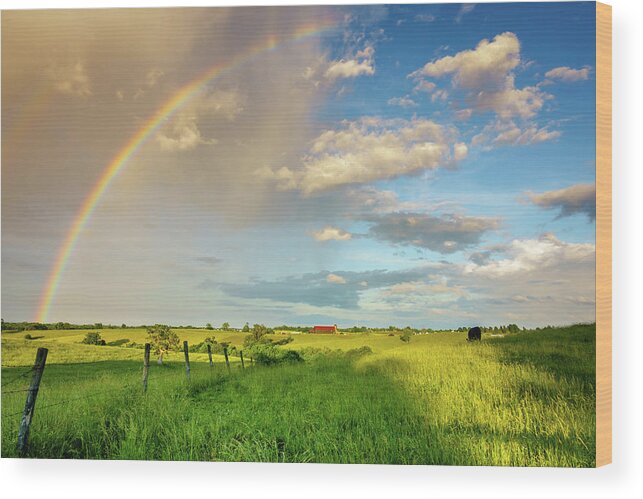 America Wood Print featuring the photograph Rural scene with rainbow by Alexey Stiop