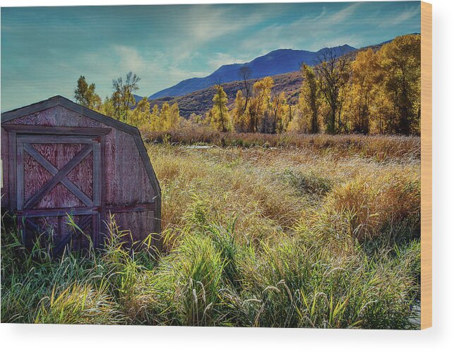 Shed Wood Print featuring the photograph Rural shed by Bradley Morris