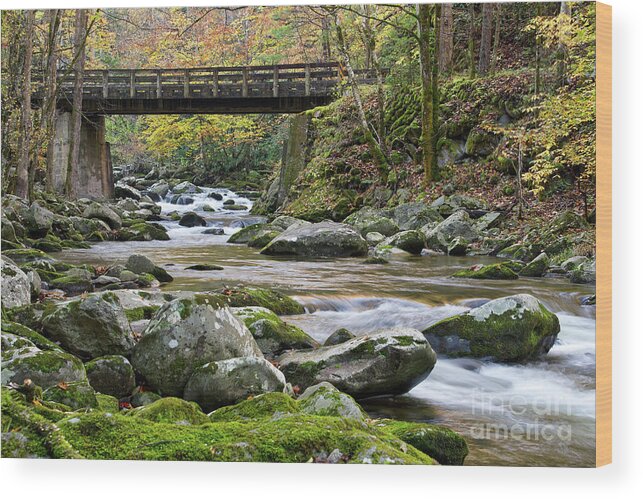 Autumn Wood Print featuring the photograph Rustic Wooden Bridge by Phil Perkins