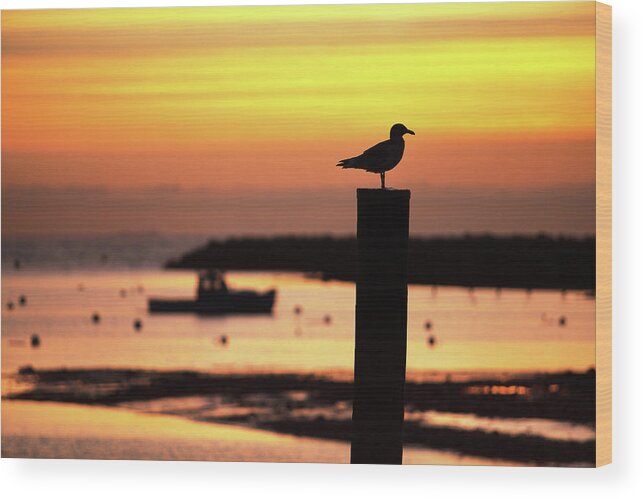 Rye Harbor Wood Print featuring the photograph Rye Harbor Sunrise by Eric Gendron