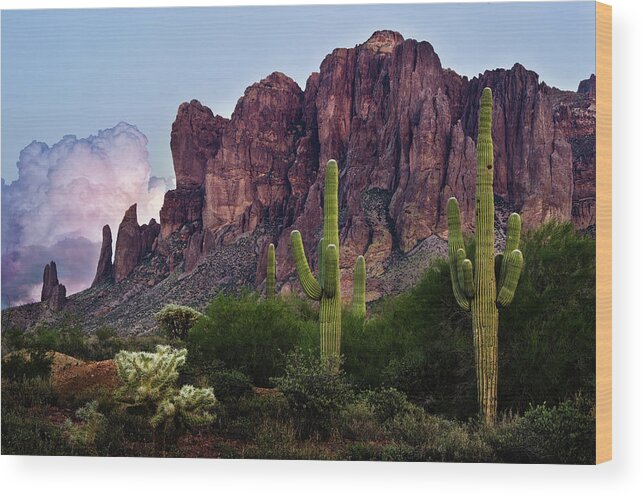 Cactus Wood Print featuring the photograph Saguaro Cactus and the Superstition Mountains by Dave Dilli