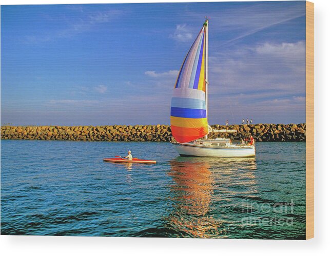 Marina Del Rey Wood Print featuring the photograph Sailboat and Kayak Going Home by David Zanzinger