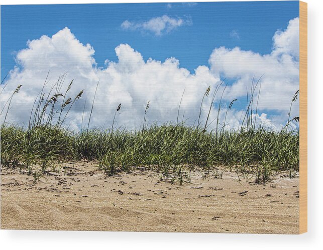 Sand Dune Wood Print featuring the photograph Sailfish Beach Sand Dunes by Blair Damson
