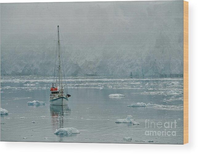 Sailing In Antarctica Wood Print featuring the photograph Sailing Under down under by Darcy Dietrich