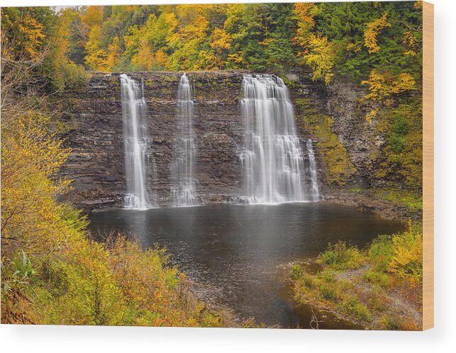Upstate Ny Waterfalls Wood Print featuring the photograph Salmon River Falls in Autumn by Rod Best